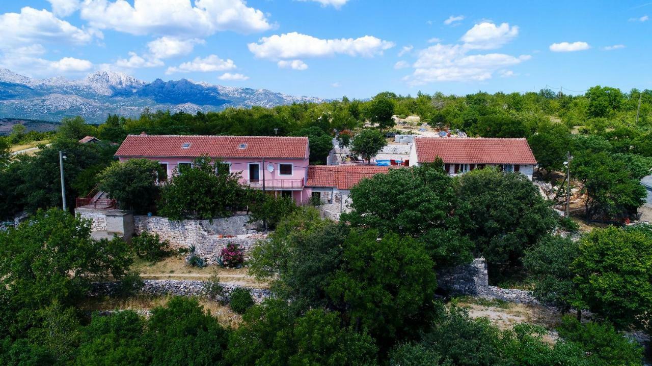 Villa Marina Krusevo-Zadar Bagian luar foto